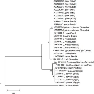 Cryptosporidiosis and Giardiasis in Buffaloes (Bubalus bubalis)